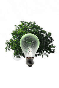 清洁能源成长技术白炽灯行星发芽灯泡白色玻璃绿色气候植物背景图片