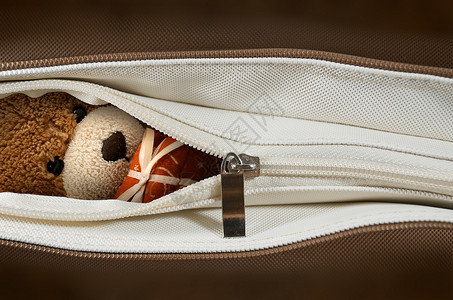 棕色袋子中的熊娃娃织物压缩娃娃童年拉链填充动物玩具玩具熊购物背景图片