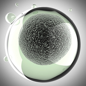 细胞质微型细胞科学插图技术微生物学怀孕胎儿施肥卵子胚胎生物学卫生显微镜背景