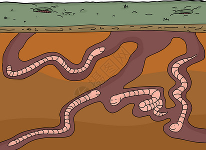 卡通蚯蚓地下快乐的虫子背景