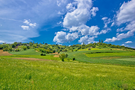 克罗地亚的古德型社会文化绿色景观高清图片