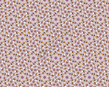 花卉背景地毯马赛克区系粉色植物学花瓣植物均衡雄蕊瓷砖背景图片
