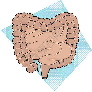 大肠包小肠人类消化轨迹背景