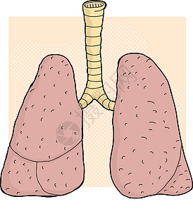 人类肺部卡通背景图片