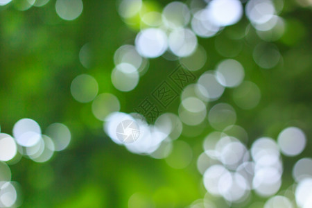 自然的波凯环境草地镜片阳光绿色季节活力圆圈背景生态高清图片