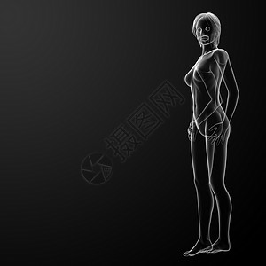 3d 说明女性的情况医疗x光蓝色骨头生物学生理科学骨骼人体身体背景图片