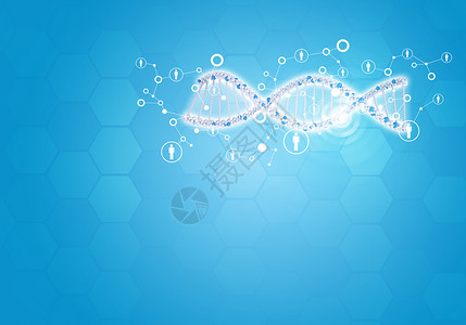 结合所有人类基因DNA 六边形和信息委员会的背景情况插图木板图表网络白色蓝色辉光蜂窝螺旋坡度背景图片