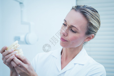 牙科医生看口腔模型牙科女性保健员医学口腔科卫生保健专业工作牙医背景图片