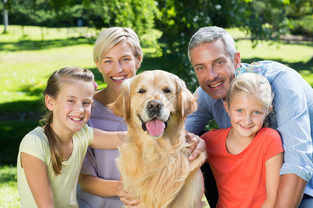幸福的一家人带着狗笑着对着摄影机微笑草原父亲女孩晴天公园母亲女士金发女郎浅色绿地自然高清图片素材