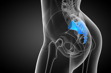 3d为血原骨的医学插图医疗骨干椎间椎骨柱子卫生尾骨解剖学骨骼保健背景图片