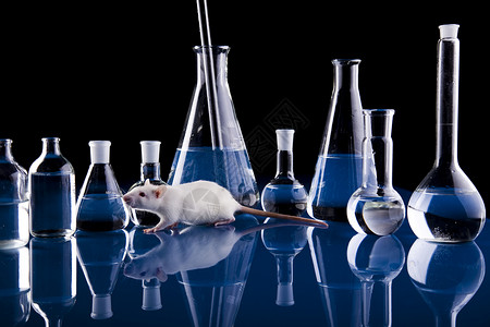 实验室设备 明亮的现代化学概念药店瓶子管道烧杯保健器皿试管烧瓶蓝色原子背景图片