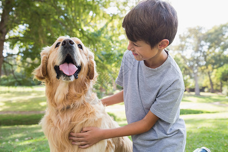 狗拥抱小男孩和他的狗在公园里草地绿地男生棕色农村草原男性晴天家畜阳光背景