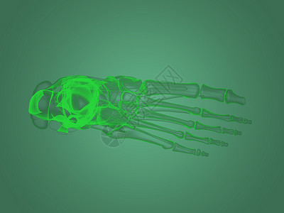 人类脚X射X光脚解剖术解剖学病人身体扫描疼痛药品生物学骨骼插图胸部背景