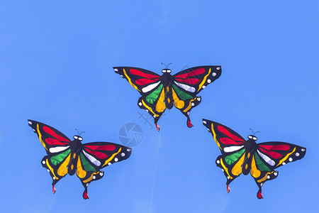 蓝色蝴蝶素材蓝色天空中多彩的Kite飞行爱好乐趣微风蝴蝶空气闲暇天堂尾巴翅膀玩具背景