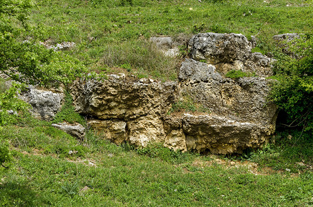 对实地沉积巨石的一般观 1011 3岩石白色裂缝毛孔场地植物绿色黄色背景图片