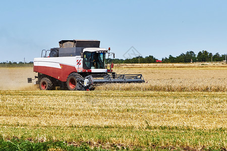 收获小麦灰尘机械技术植物谷物机器稻草收成场地工作图片素材