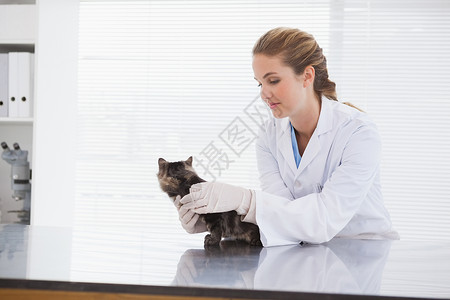 检查一只小猫医生女士浅色女性专家动物考试工作服桌子医疗背景图片