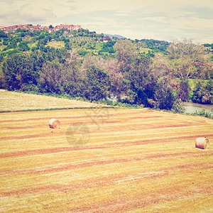 农家蒸包托斯卡纳景观植物稻草收成干草农场环境天空蓝色房子正方形背景