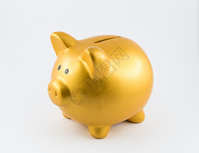 金色筑梦未来左侧金色的小猪银行背景