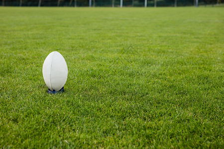 橄榄球在投球运动沥青杯子绿色闲暇世界背景图片