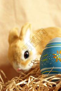 复活蛋棕色季节蓝色兔子装饰背景图片