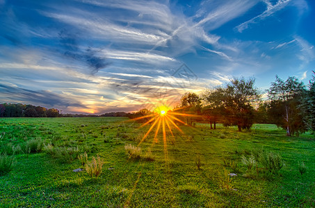 日落在南卡罗利纳的约克农地上草地植物农田蓝色场地草原晴天农场天空场景景观高清图片素材