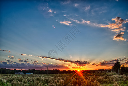 日落在南卡罗利纳的约克农地上爬坡土地场地太阳蓝色晴天戏剧性橙子草地草原地平线高清图片素材
