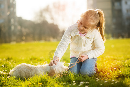 小女孩带着小狗狗孩子宠物水平动物草地公园小狗乐趣幸福绿色晴天高清图片素材