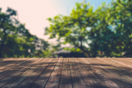 秋林中美丽的阳光照耀着木板的地板桌子木头射线季节背景绿色铸件叶子阴影树干自然的高清图片素材