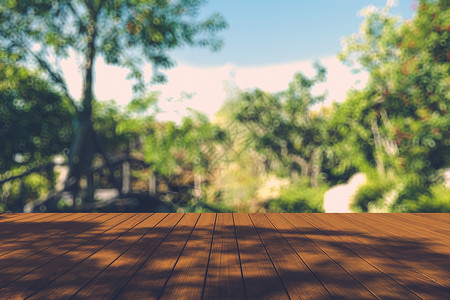 秋林中美丽的阳光照耀着木板的地板多叶光束铸件地面木头背光绿色桌子公园季节背景虚化高清图片素材