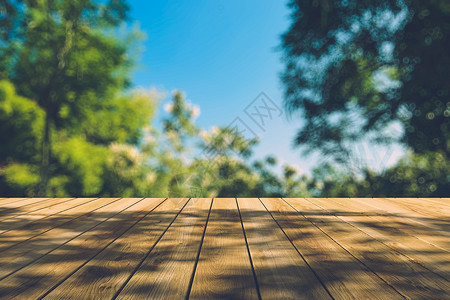 秋林中美丽的阳光照耀着木板的地板光束铸件多叶绿色背景射线森林环境木头季节自然的高清图片素材