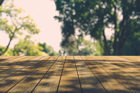 秋林中美丽的阳光照耀着木板的地板射线公园地面环境季节多叶绿色桌子木头叶子晴天高清图片素材