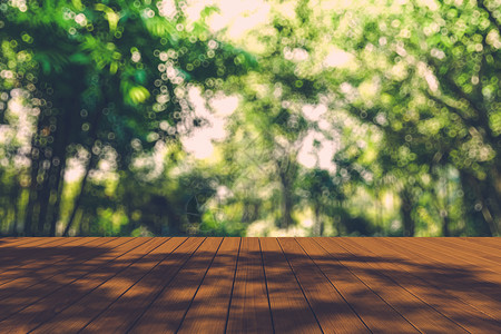 秋林中美丽的阳光照耀着木板的地板铸件射线光束树叶桌子季节森林晴天绿色公园自然高清图片素材