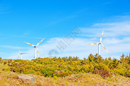 自然绿色景观中的风风涡轮机     蓝色天空生态技术螺旋桨能源车道发电机旋转力量风力爬坡背景图片