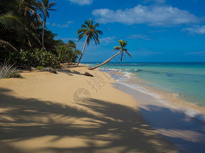 热带海滩海洋天气明信片假期沙滩棕榈清水热带水蓝天景观背景图片