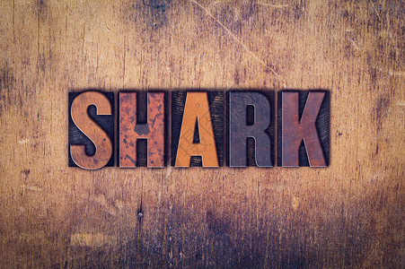 “Wooden 彩印型鲨鱼”概念高清图片