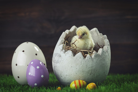 复活节鸡 鸡蛋和装饰品兔子季节假期木头小鸡庆典礼物白色装饰巢高清图片素材