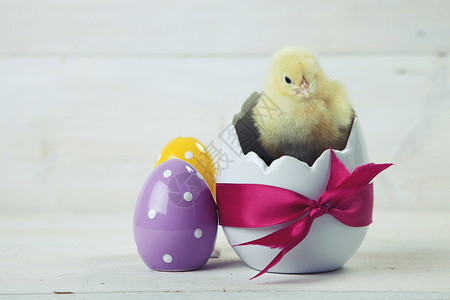 复活节鸡 鸡蛋和白色背景的装饰品假期木头小鸡礼物庆典装饰季节巢高清图片素材
