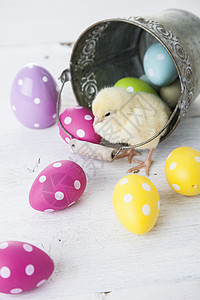 复活节鸡 鸡蛋和白色背景的装饰品礼物季节装饰小鸡木头庆典假期设计高清图片素材