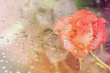 喜雨时 抽象模糊的升起和水滴落背景图片