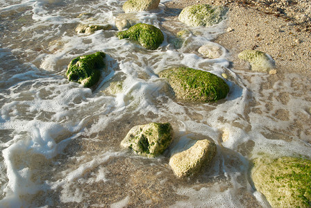 浮生如梦含有石块的海泡沫背景