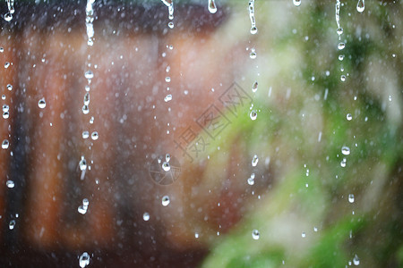 热带雨雨滴背景图片