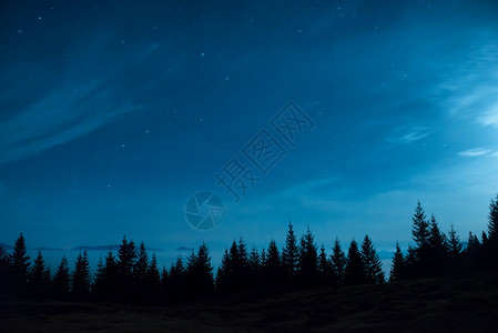 天空和月亮月月下松树林和蓝色夜空墙纸星系松树火花天文学天空星云星座木头森林背景