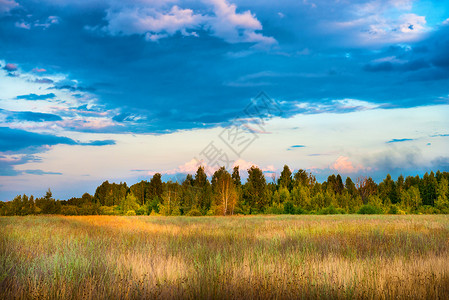 青蓝天空的美丽田地和森林蓝色草地晴天植物环境射线季节场地旅行牧场春天高清图片素材