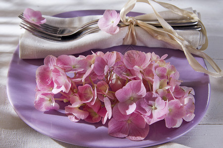 表格中的圆括号粉色香味盘子桌子花园花瓣植物流动植物群背景图片