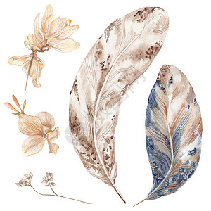 兰花花纹装饰框Booho 风格水彩花纹和植物背景