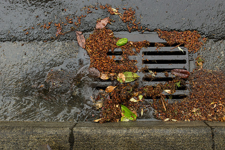 暴风雨中的排水沟路面碎片树叶黄色风暴棕色下水道金子金属城市引流高清图片素材