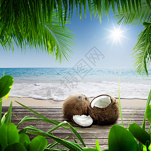 海滩椰子椰椰子海洋天堂植物巡航支撑水果食物海岸太阳棕榈背景