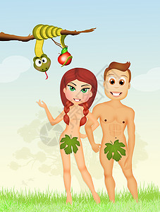亚当和夏娃在伊甸园圣经诱惑宗教男人女士起源原罪水果历史插图背景