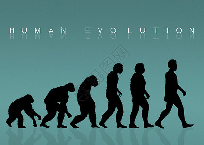 人类进化剪影科学生活古生物学起源男人历史概念灵长类动物插图背景图片